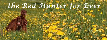 Logohunter