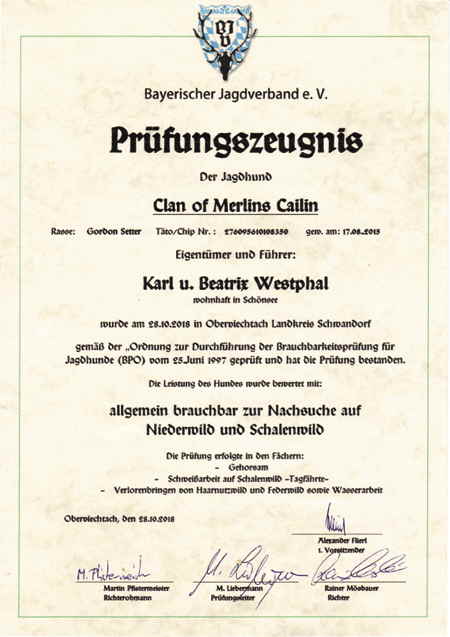 CailinBrauchbarkeitweb