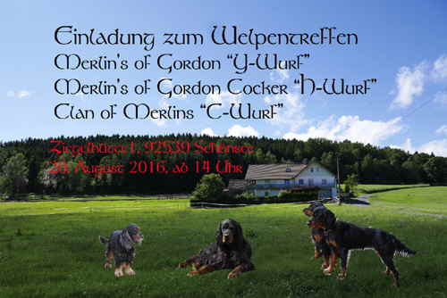 Karteneu